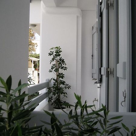 Aelia Apartments Naxos City Eksteriør billede