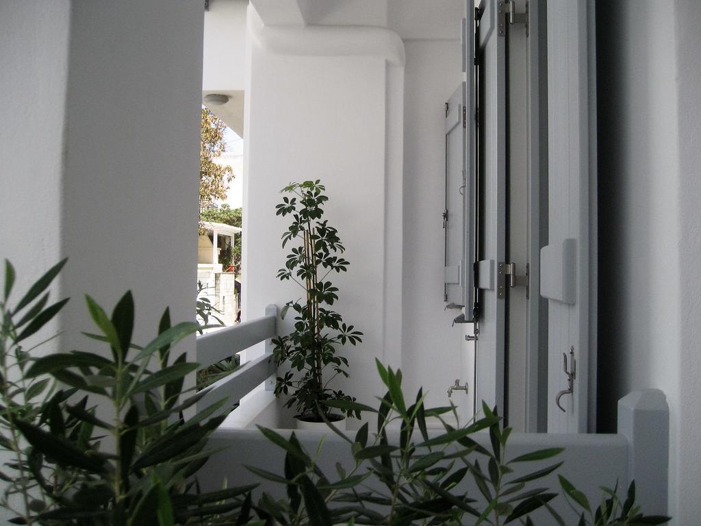Aelia Apartments Naxos City Eksteriør billede